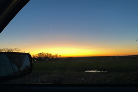 Header of peachhy9876