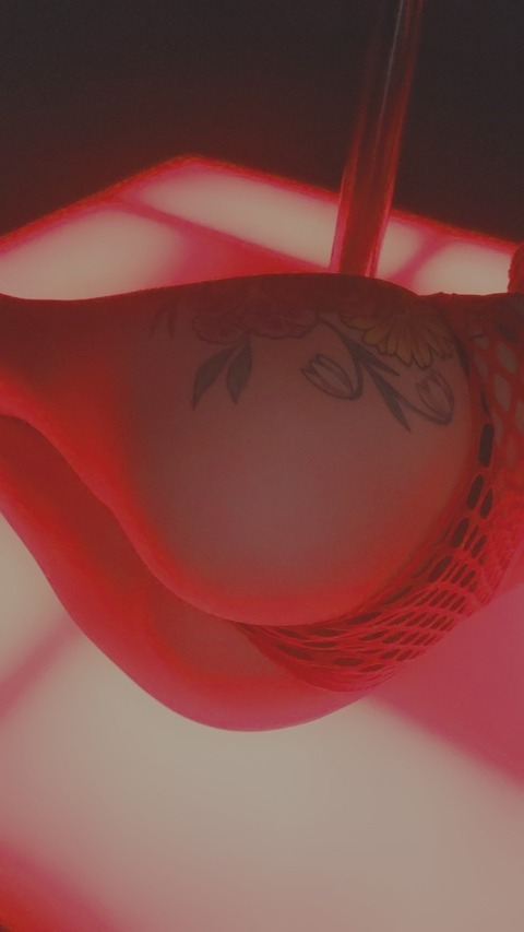 Header of petitedancer24
