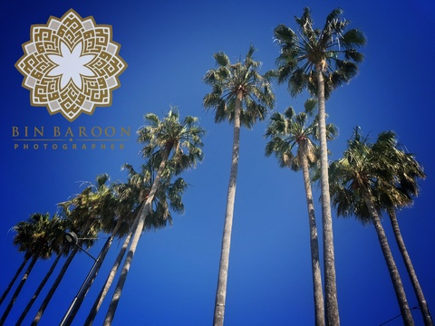 Header of photography