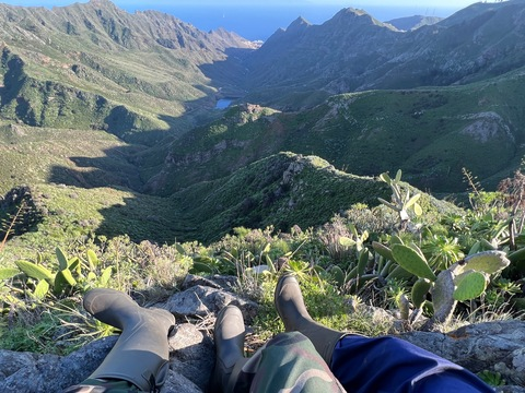 Header of pigwellies