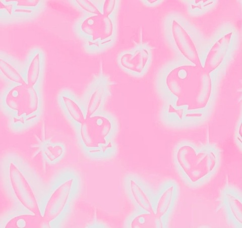 Header of playboylani