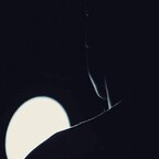 Onlyfans leaks poorartyboy 

 profile picture