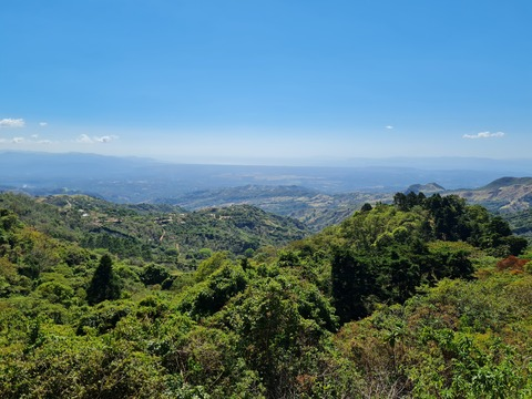 Header of pretty_mom-cr