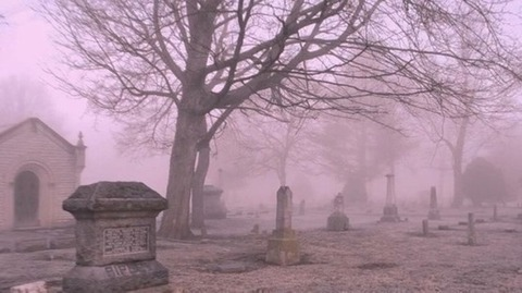 Header of princessadelina