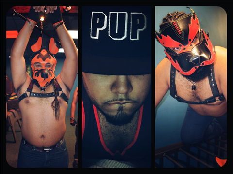 Header of pup_panda