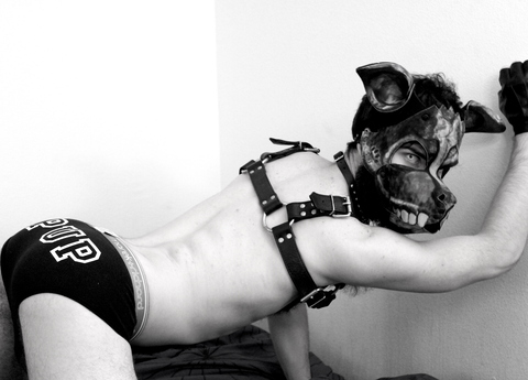 Header of pupscritch