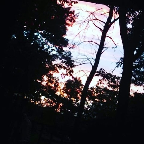 Header of queenb2012