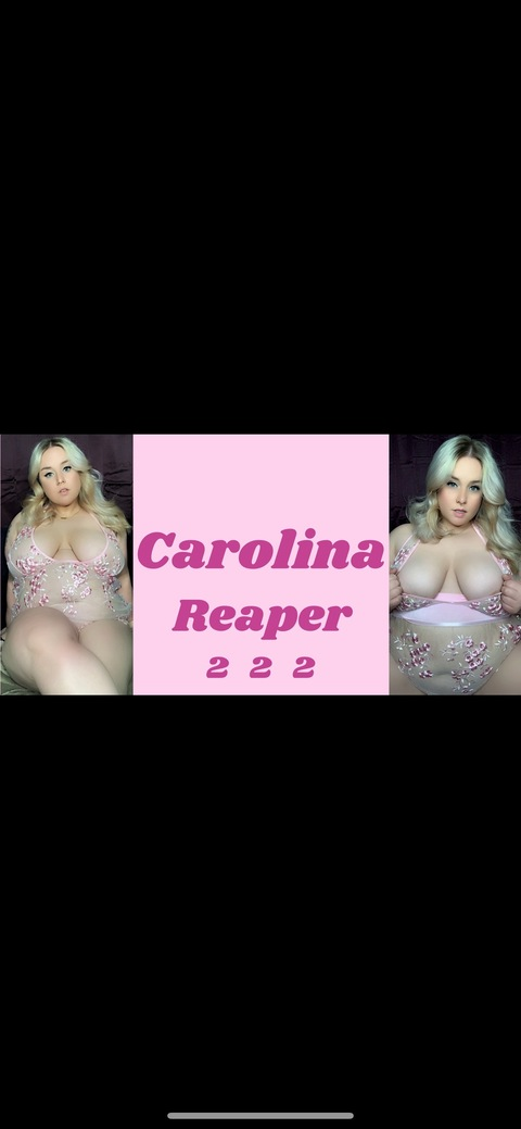 Header of quinncaroline