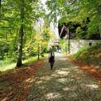 raluca (Ralu) free OnlyFans Leaked Content 

 profile picture