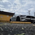 Dubaiii (rayito) Leak OnlyFans 

 profile picture