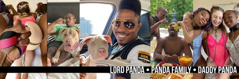 Header of realdaddypanda