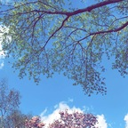 Download rufhaus OnlyFans leaks for free 

 profile picture