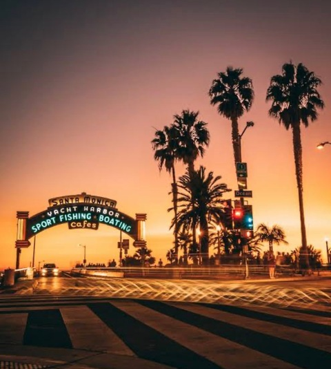 Header of sachaof