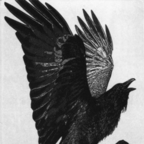 Download sadlovestory OnlyFans leaks for free 

 profile picture