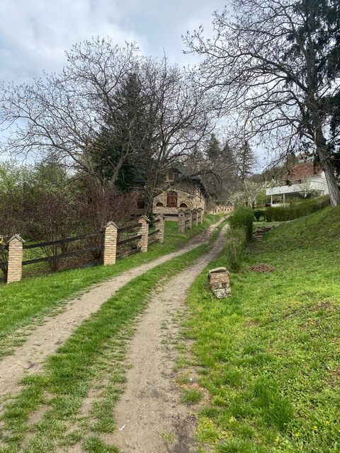 Header of sarahcooperxo