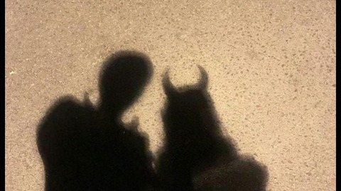 Header of sedefhot