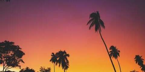 Header of seraphinaz