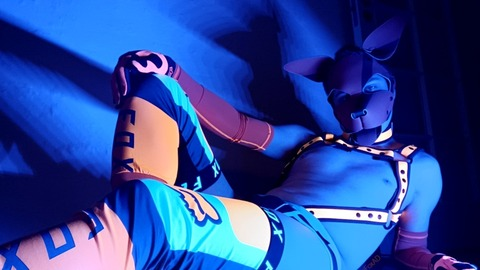 Header of shakkifoxad