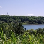 Download shiba OnlyFans videos and photos for free 

 profile picture