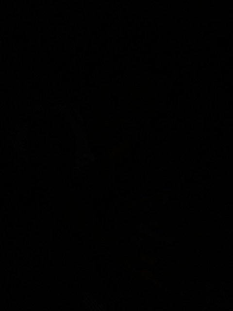 Header of sinical
