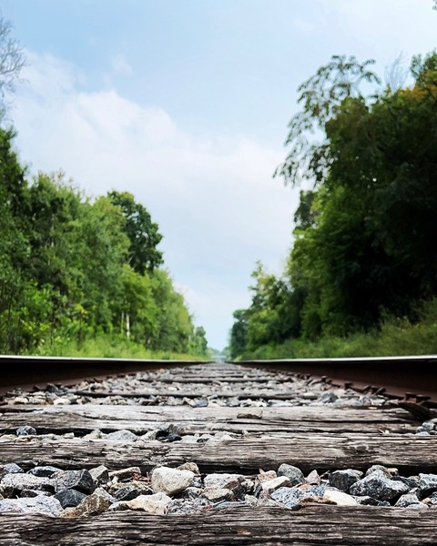 Header of sladewolfe