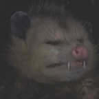 emma (sofckncute) Leaked OnlyFans 

 profile picture