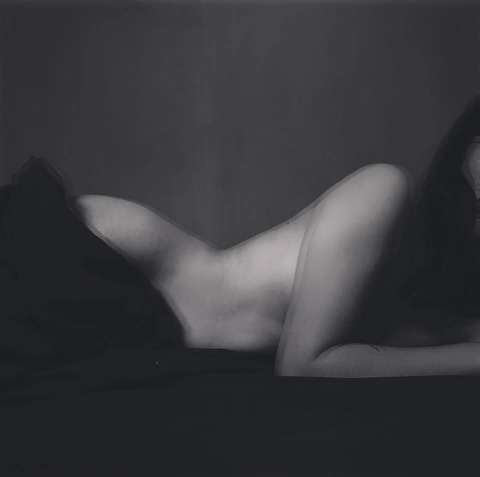 Header of sofia.ngx