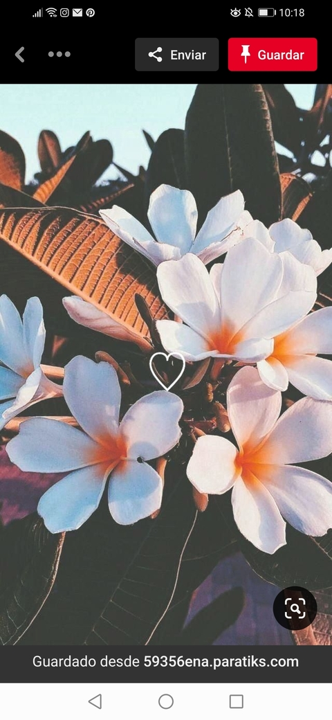 Header of soficat