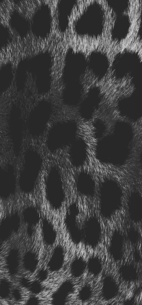 Header of southerncumfort96