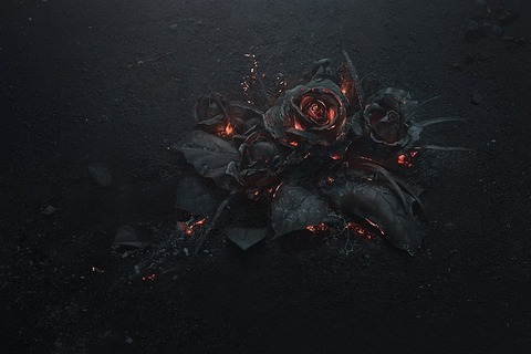 Header of soydeeppapi