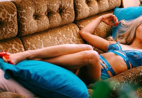 Header of spicybarbii