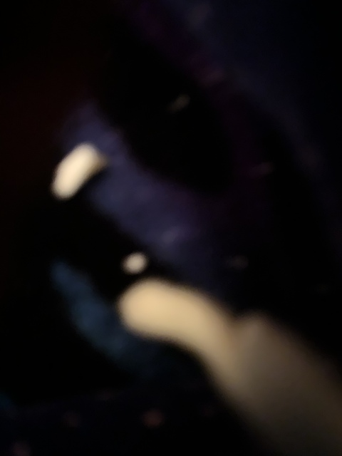Header of spicysage