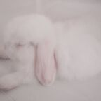 bunni starry Leaks OnlyFans 

 profile picture