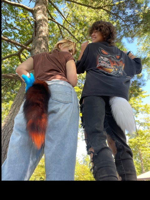 Header of stinkerbellxo