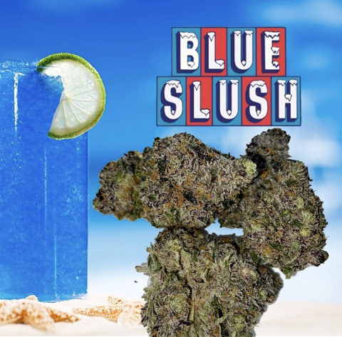 Header of sugadaddy4200