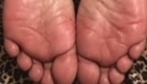 Header of sultrysolediva