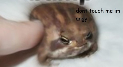 Header of swaggymuffins