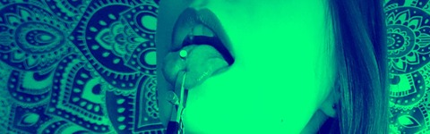 Header of switchykittnshiva