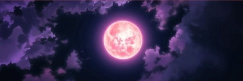Header of syydneyymoon420