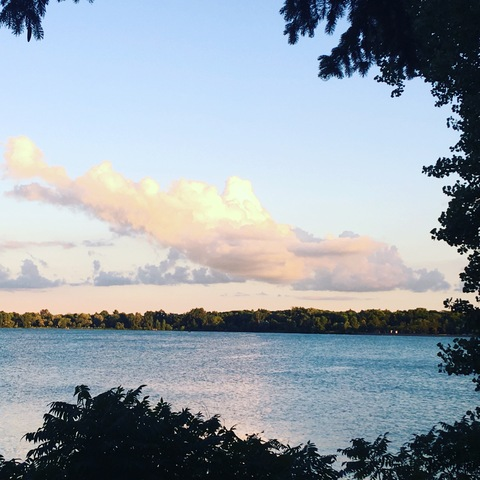 Header of thefcc