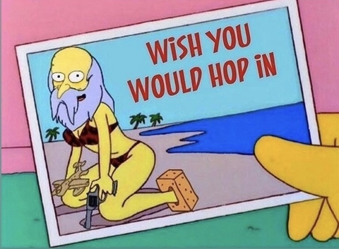 Header of thesprucemoose69