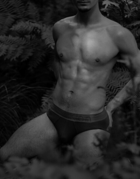 Header of thewolfjames