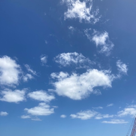 Header of tiacleocooper