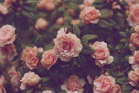 Header of tina_loving
