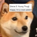 Onlyfans leaks tiredhighs 

 profile picture