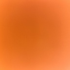 Download tootsie_twinkle OnlyFans content for free 

 profile picture