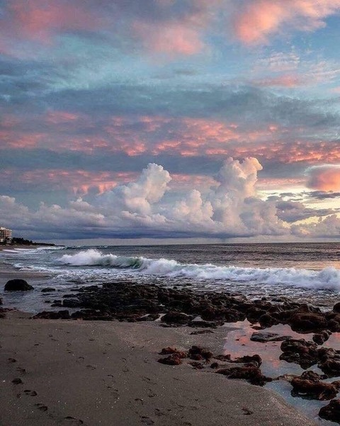 Header of totallycameron