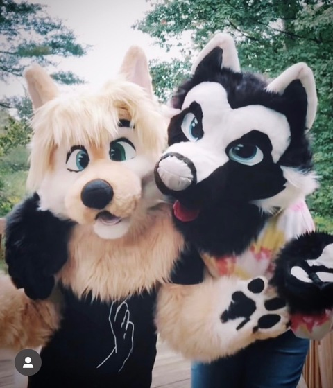 Header of transfurs