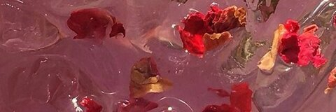 Header of trnelsa