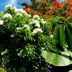 Download tropical_kay OnlyFans leaks for free 

 profile picture